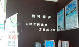 平面广告设计,宣传手册 vi 网站建设 海报设计